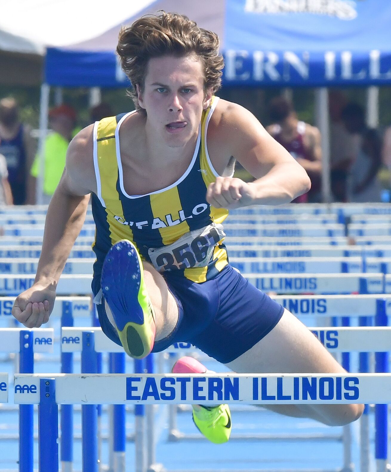 Illinois Class 3A State Track Meet
